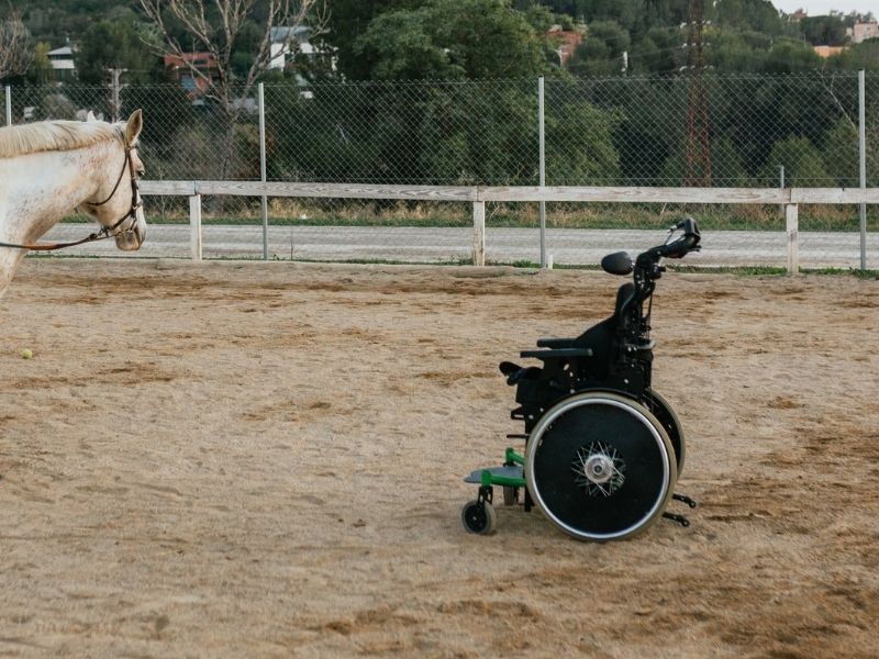 Hippoterapide Kullanılan Terimler