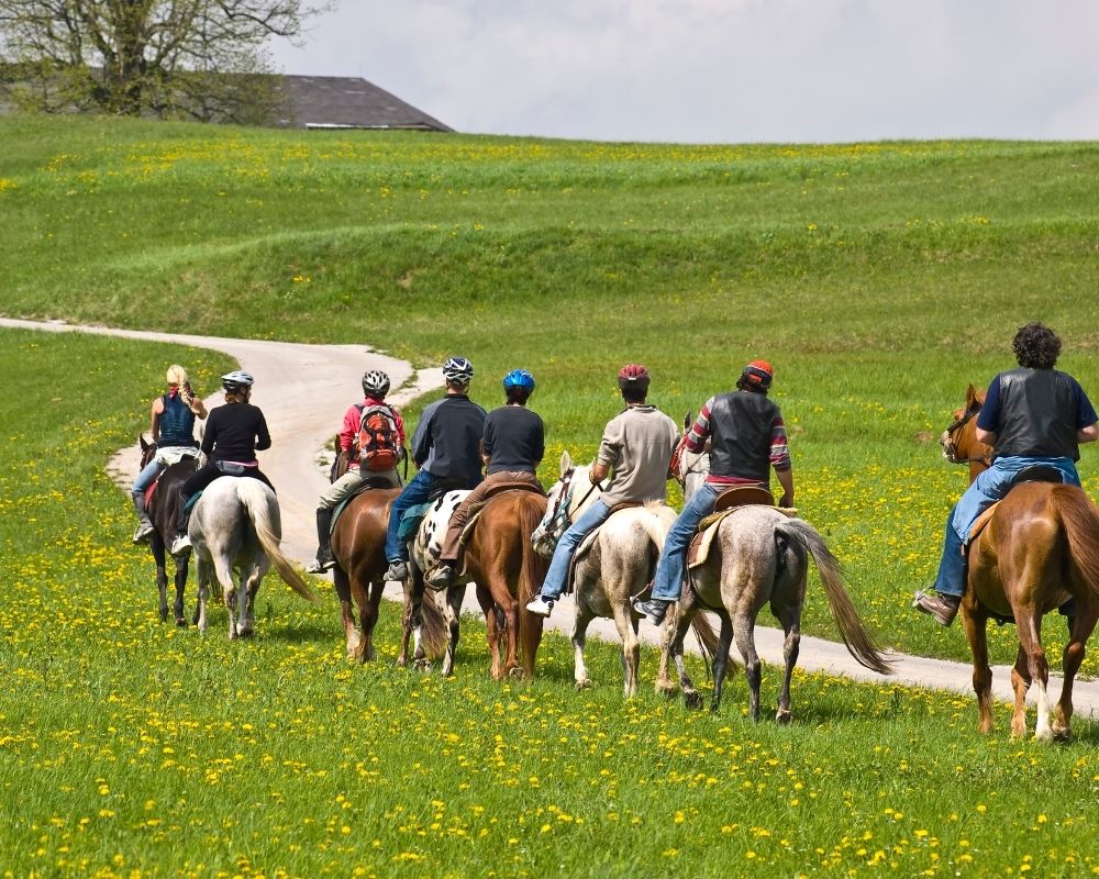 Atlı Turizm Atlı Turizm
