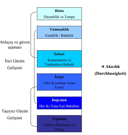 At Terbiyesinde Eğitim Şablonu