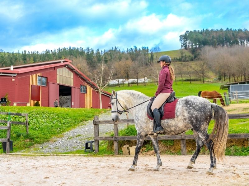 Hippoterapi Merkezlerinde Tesisler Hippoterapi Merkezlerinde Tesisler