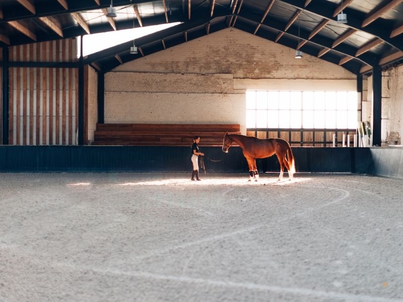 Hippoterapi Merkezlerinde Manej Alanı Hippoterapi Merkezlerinde Manej Alanı