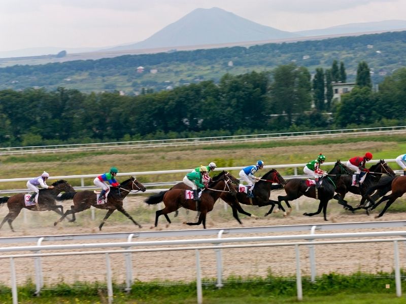 Hipodromlarda Pist Düzleme