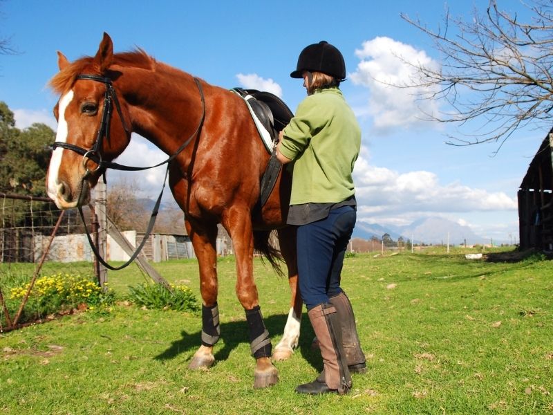 Binicinin Donanım Kontrolü